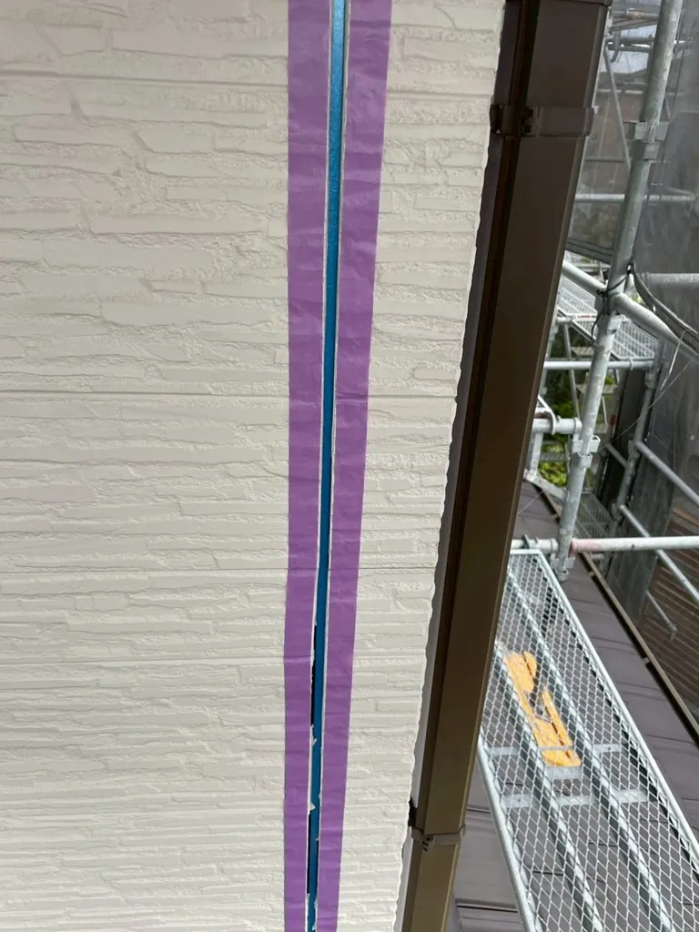 20250417195401.jpg